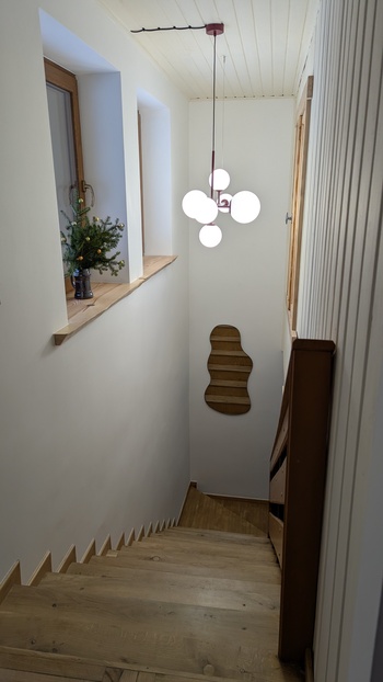 PXL_20241223_085501703