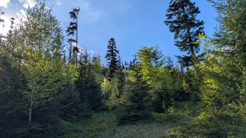 PXL_20250430_144857439