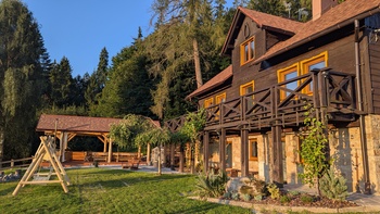 PXL_20250813_041706750